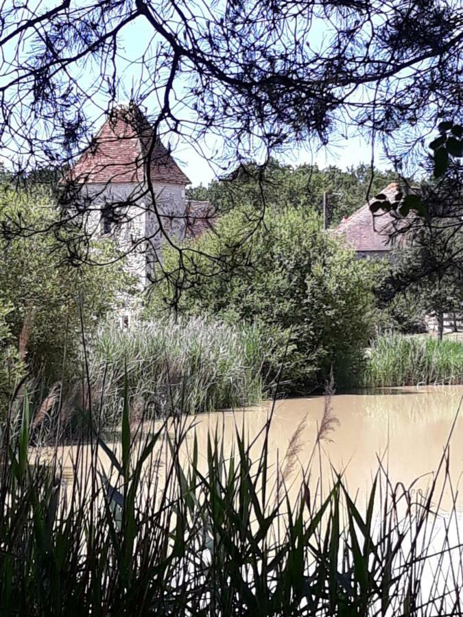 Le Manoir De Pierre Levee, The Originals Collection Hotel Tournon-Saint-Martin ภายนอก รูปภาพ